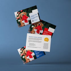 Entwurf Flyer