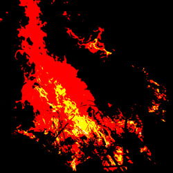 Flames of Fire / Flammen eines Feuers