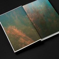 Tender Digitality