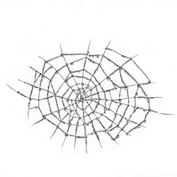 spinnennetz