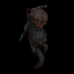 Newborn / Vorschau