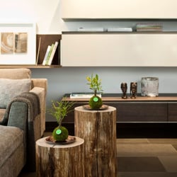 Kibonu • Kultbäumchen