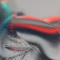 Inside The Bubble