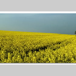 Fotografie-Natur