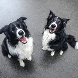 Happy Boyzz