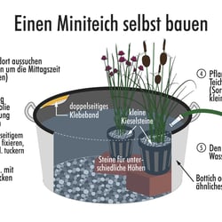 Informationsgrafik „Miniteich selbst bauen“