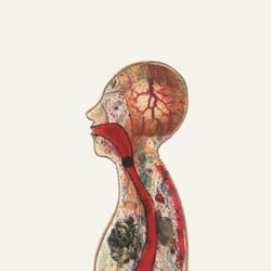 „Globussyndrom“, animated short film by Mareike Graf
