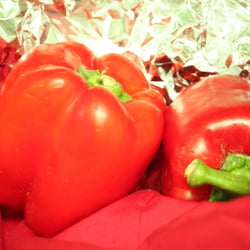 Food Photography 2012 Rezepte Paprika 01