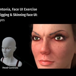 antonia reducedVersion22