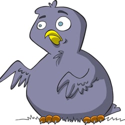 Kleiner dicker Vogel