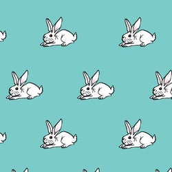 white rabbit