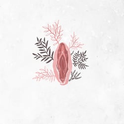 vulva nr 2