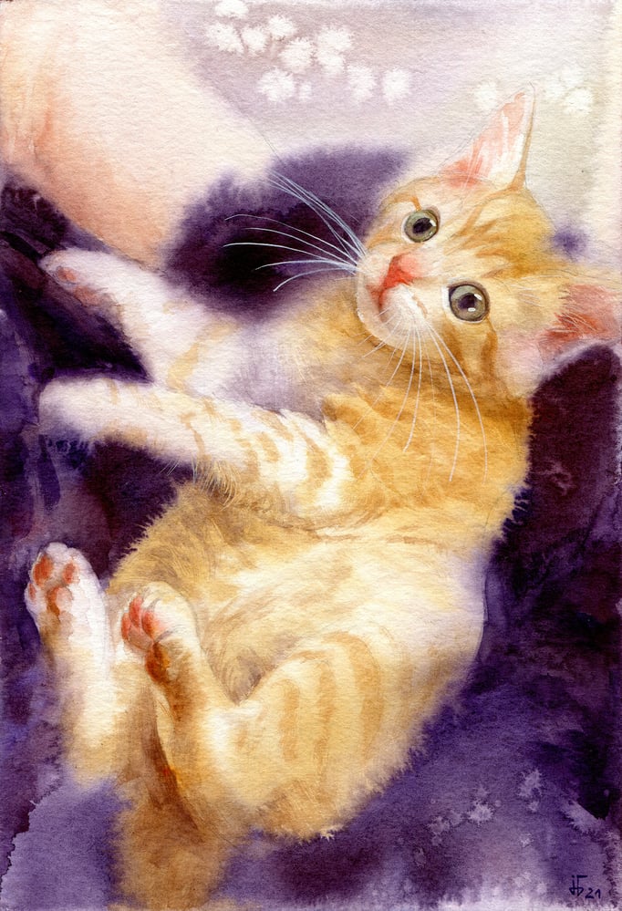Kätzchen – Aquarell