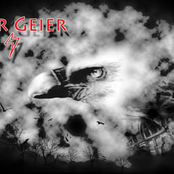 Der Geier