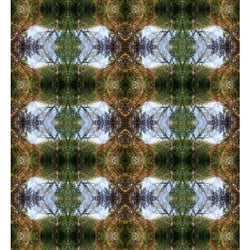 Astwerk4