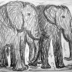 Kohle, 23×17cm