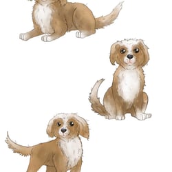 Kinderbuch Illustration Hund Max