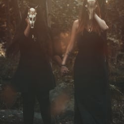 Children of the Forest