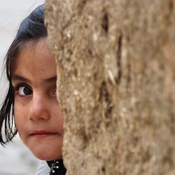 Iran, 2013