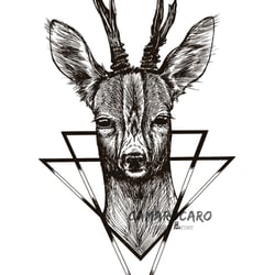 Sanfter Krieger – Grafik-Illustration
