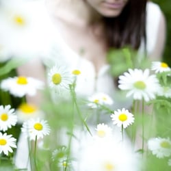 Flor