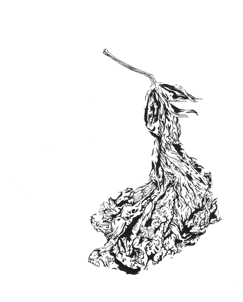 Blüte
