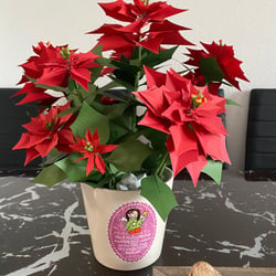 Weihnachsstern aus Papier