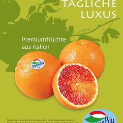 Konzept Silhouette Anzeige2