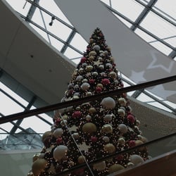 Cristmas 2013 Part 02
