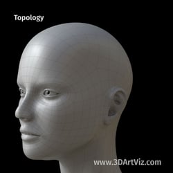 020 antonia cam 03 topology