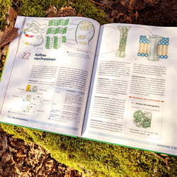 Biologische Illustrationen „Grüne Reihe“ Genetik
