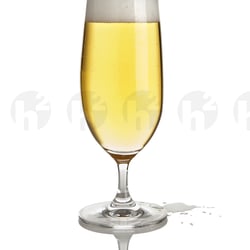 Frisches Pilsener