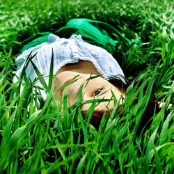 Im Gras