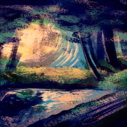 01 forest