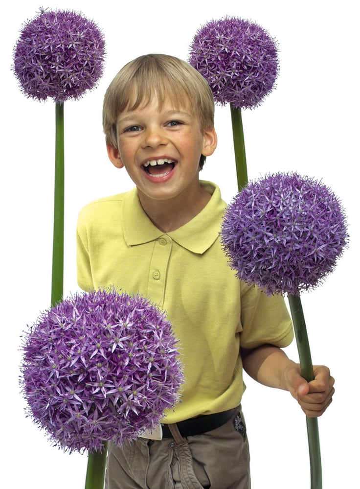 Gartenfotografie für Gartenmagazine