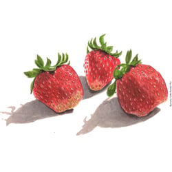 Drei Erdbeeren