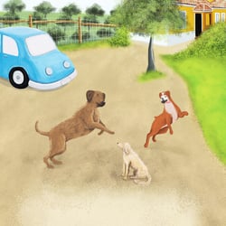 dogs playing in a yard
