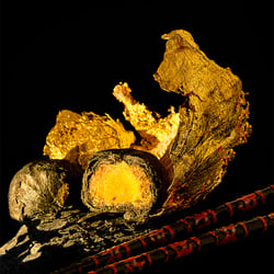 New Gold Dream