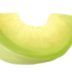 This is a honeymelon, drawn in clip studio paint