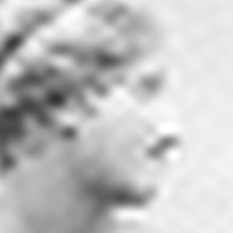 Jens Wiese
