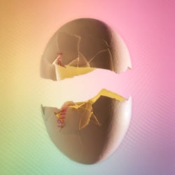Compound Butter Magazine