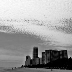 miami sky/line