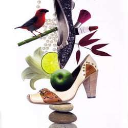 Werdich Schuhe Tüte veröffentlicht/Red Dot Design