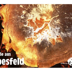 auf dem Coesfelder Berg