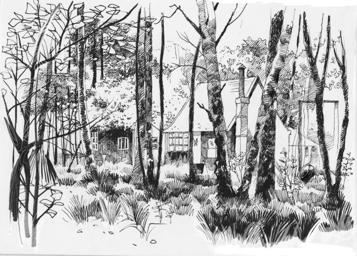 Brookwald
