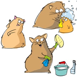 Illustration Hamster