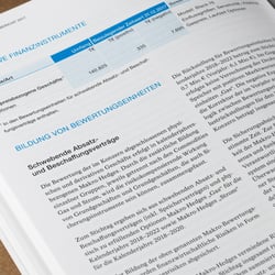 Geschäftsbericht 2017 – Innenseite