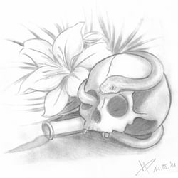 Skull 2