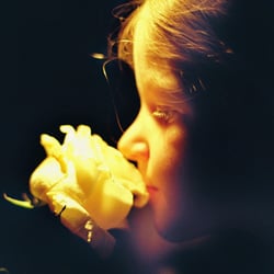SMELL OF A ROSE