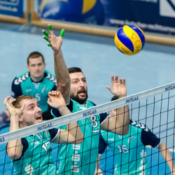 2. Volleyball Bundesliga